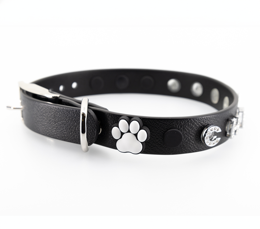 Add Your Dog's Name