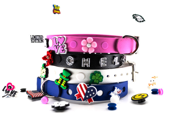 Chelsea’s Charm Collars